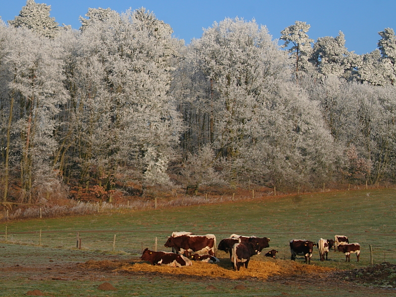 Killikus&reg; Fotographie